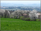 foto foto Paesaggi Collinari in Primavera